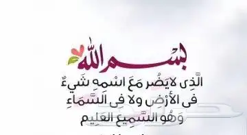 يوجد لدينا نحل بلدي وعسل طبيعي ومستلزماتها 7