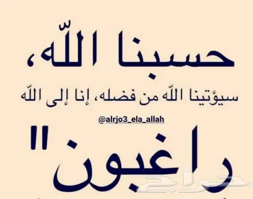 يوجد لدينا نحل بلدي وعسل طبيعي ومستلزماتها 6