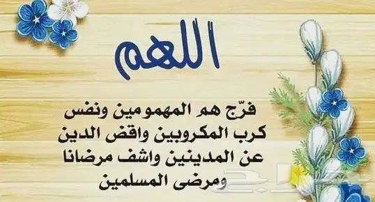 يوجد لدينا نحل بلدي وعسل طبيعي ومستلزماتها 8