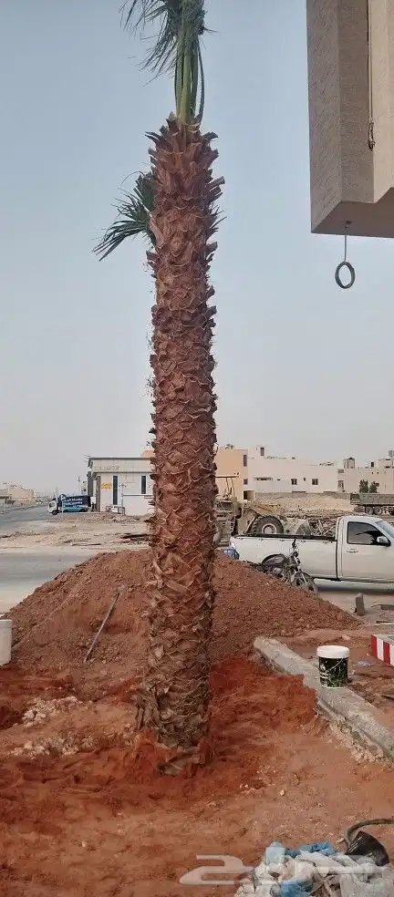 مقاول زراعه 3