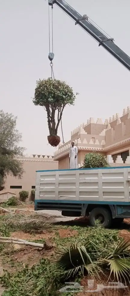 مقاول زراعه 17