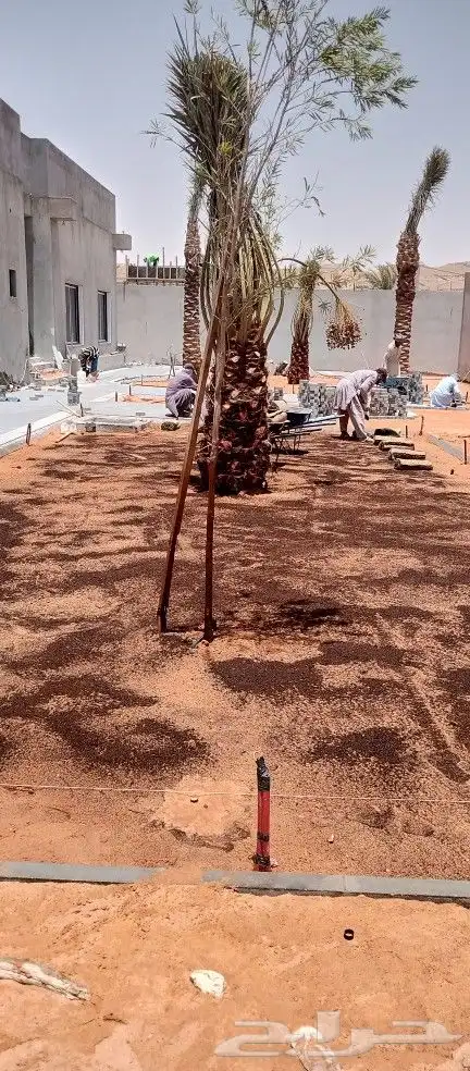 مقاول زراعه 7