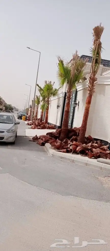 مقاول زراعه 20