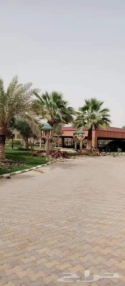 مقاول زراعه 26