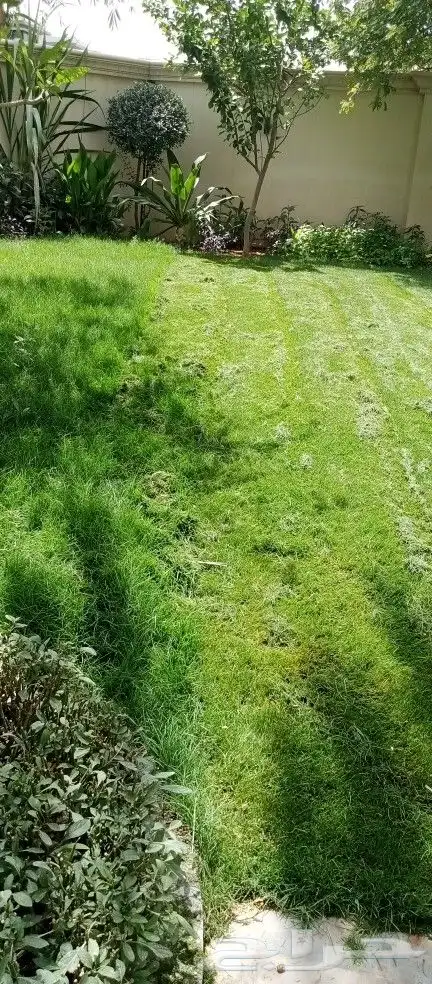 مقاول زراعه 24