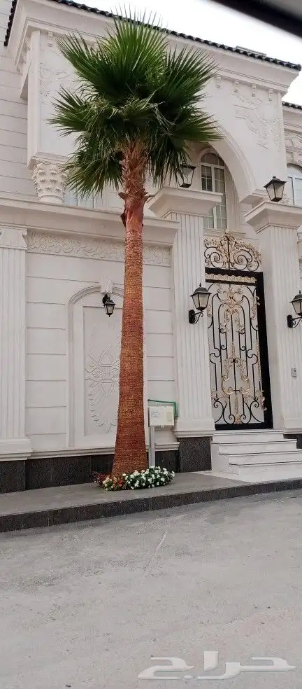 مقاول زراعه 0