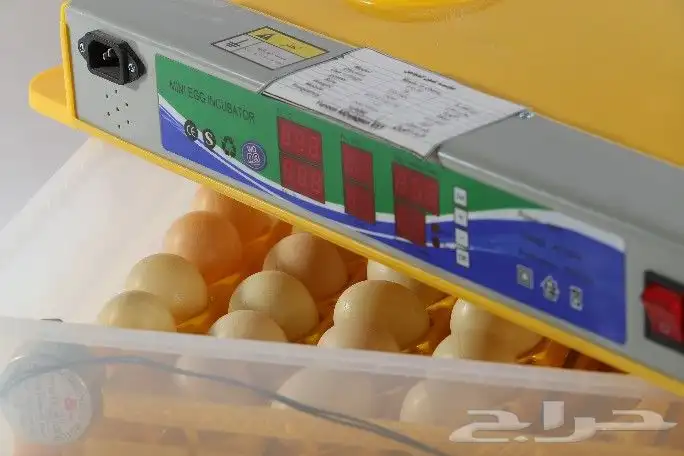 فقاسات مقاس 48_55_63-98-196_352_528_1584مع 9