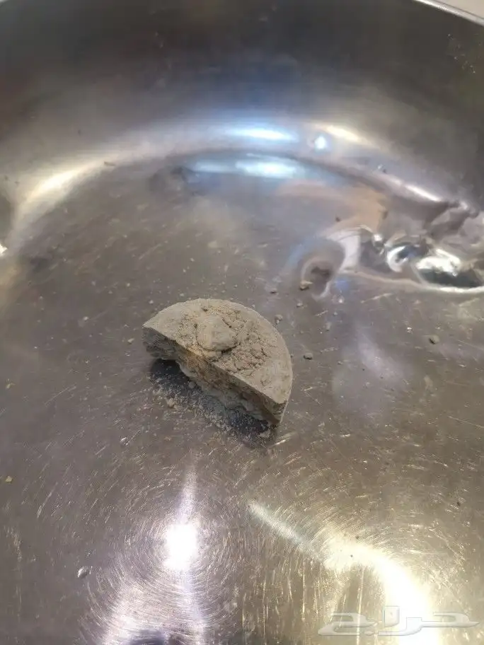 بخور طارد للحشرات للطيور مقعم الغرف PRO-SMOOK 4