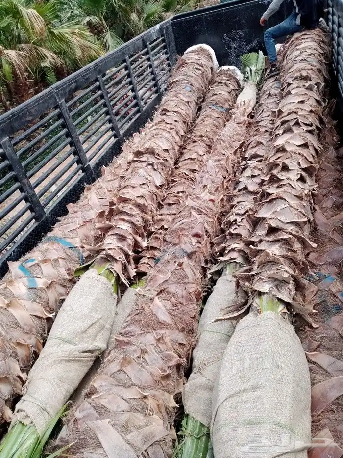 مقاول زراعه 28