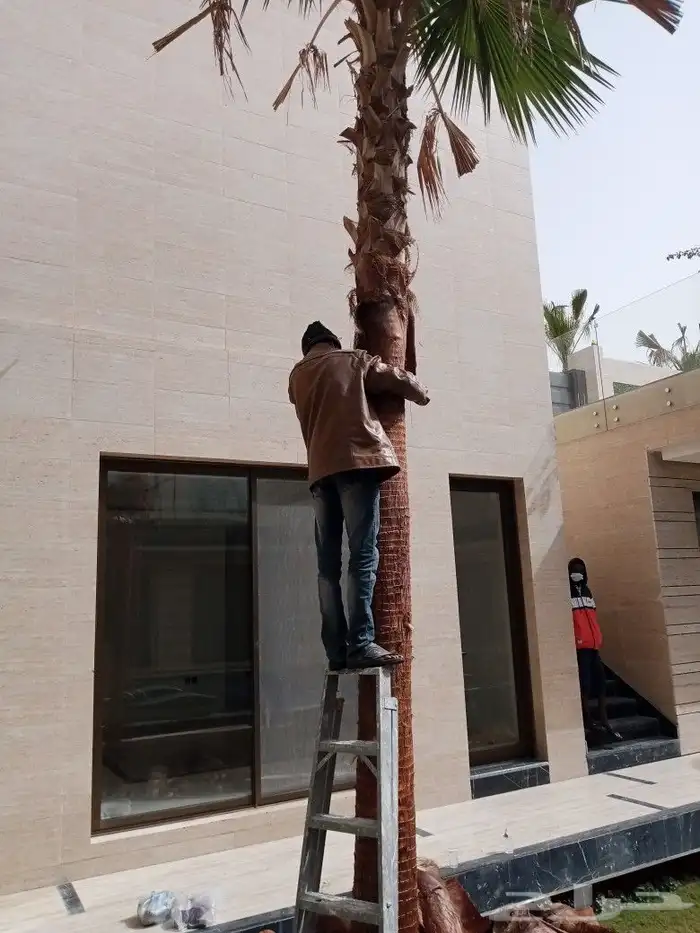 مقاول زراعه 41