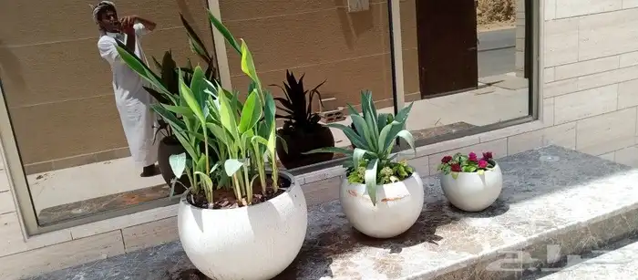 مقاول زراعه 13