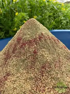 زيت زيتون فلسطيني بكر بعل لكل أرجاء السعودية 23