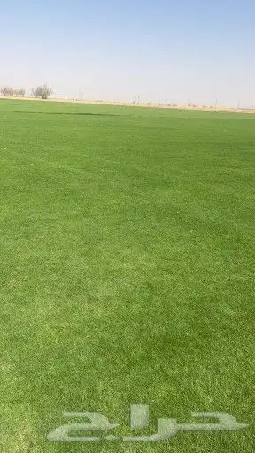 ثيل طبيعي c2000 9