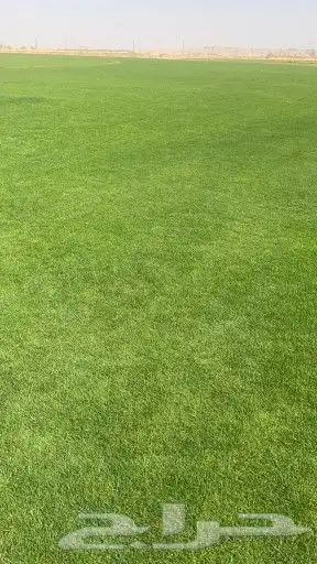 ثيل طبيعي c2000 10