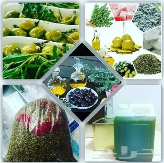 زيت زيتون فلسطيني بكر بعل لكل أرجاء السعودية 19