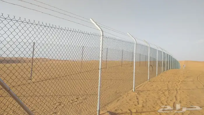 نخيل واشنطن و نخل عربي شبكات ري. زراعه ثيل 12