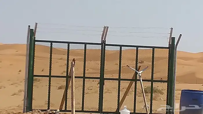 نخيل واشنطن و نخل عربي شبكات ري. زراعه ثيل 16