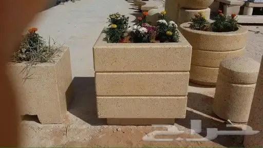 نخيل واشنطن و نخل عربي شبكات ري. زراعه ثيل 33