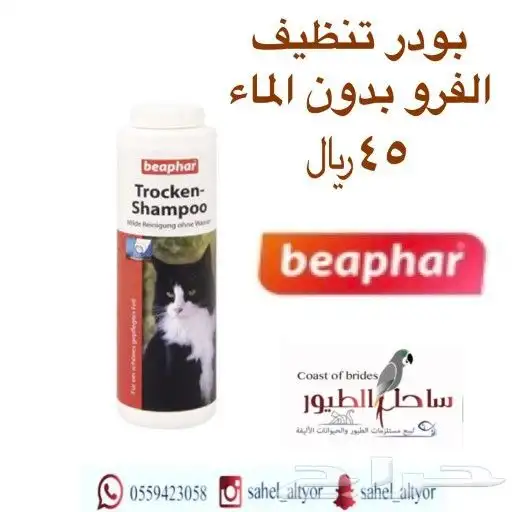 اكل قطط رويال وميوماكس وابلاوز وبيسو هملايا 53