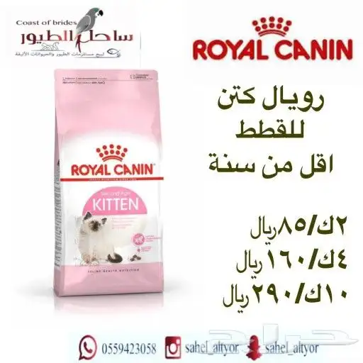 اكل قطط رويال وميوماكس وابلاوز وبيسو هملايا 33