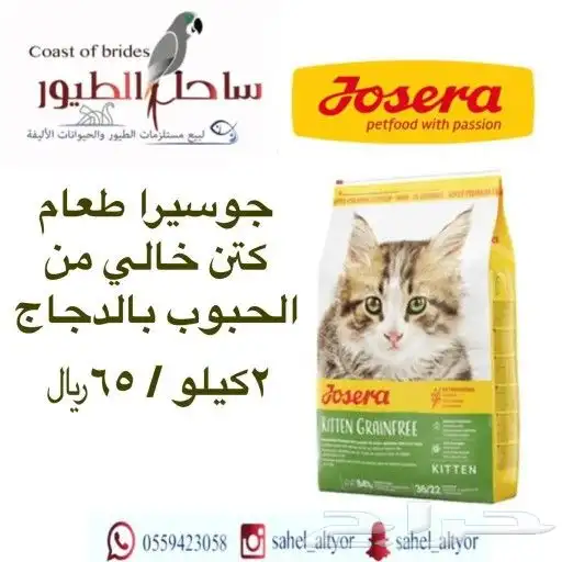 اكل قطط رويال وميوماكس وابلاوز وبيسو هملايا 50