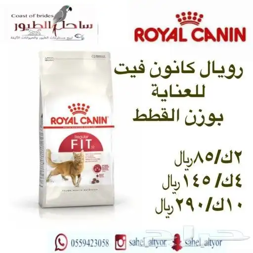 اكل قطط رويال وميوماكس وابلاوز وبيسو هملايا 39