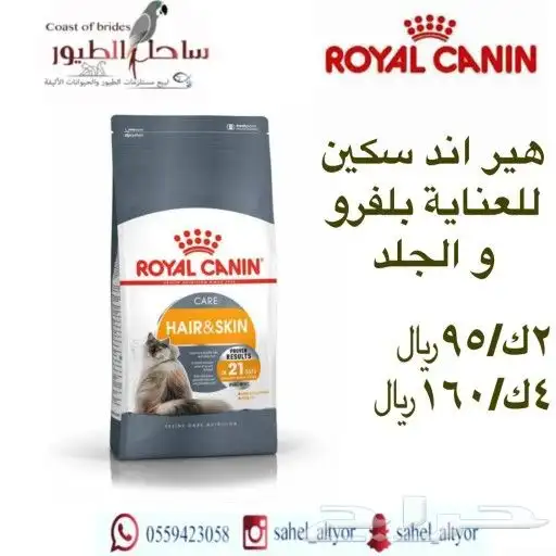 اكل قطط رويال وميوماكس وابلاوز وبيسو هملايا 37