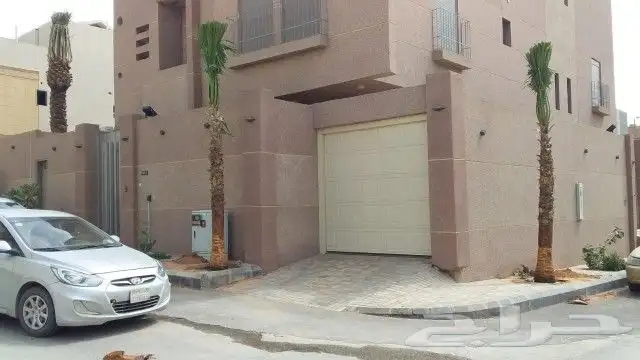 نخيل واشنطن و نخل عربي شبكات ري. زراعه ثيل 29