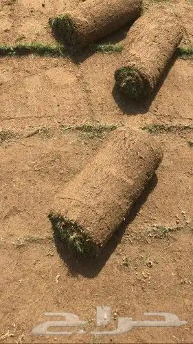 نجيله زراعي 2