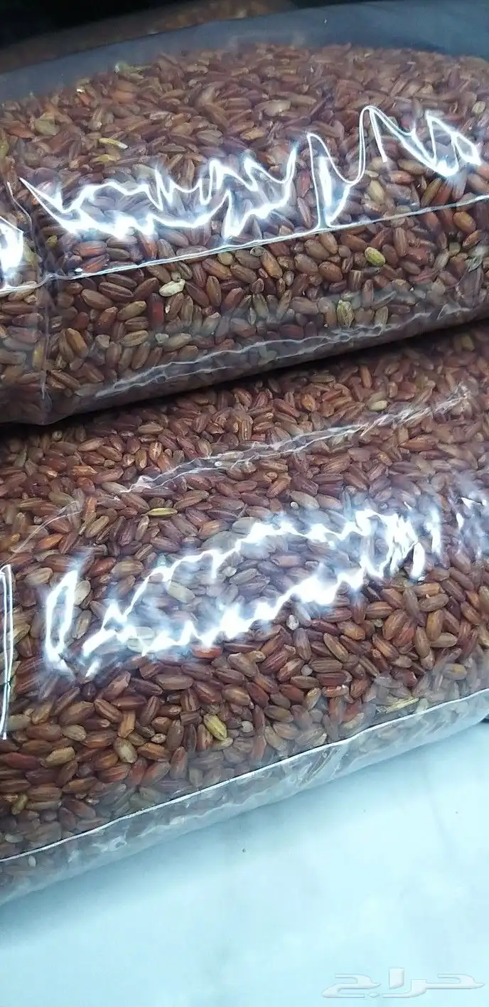 رز حساوي فاخر درجة أوله 2