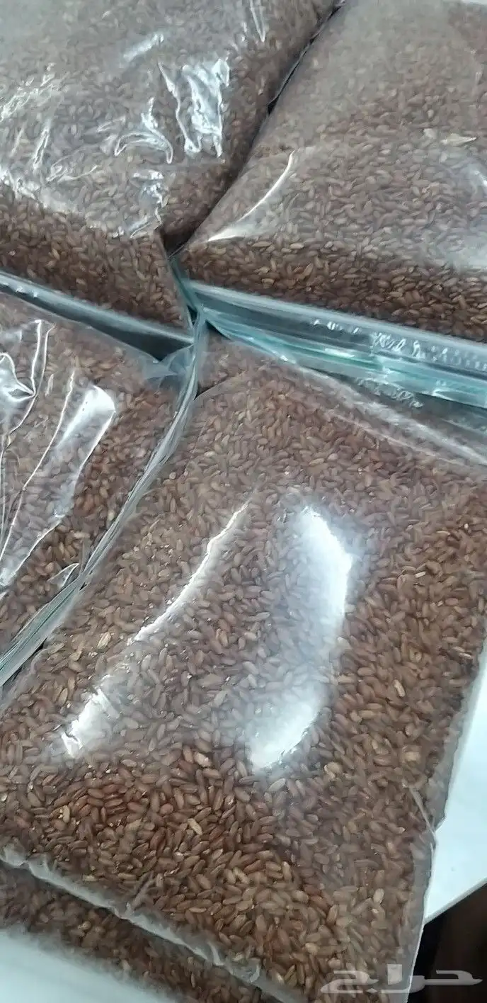 رز حساوي فاخر درجة أوله 8