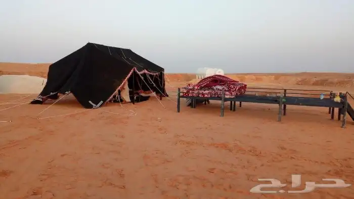 تجهيز مخيمات غرف خشب خيام بيوت شعر دورات مياه 5