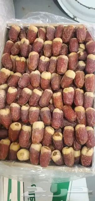 مقاول نخيل وشبوك المزارع بانواعها 0
