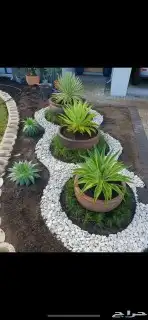 حدائق عشب صناعي ارخص الاسعار جازان 10