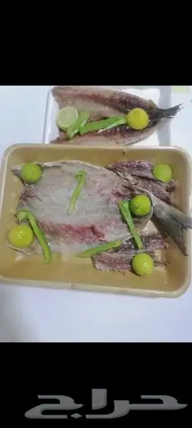 رنجه فاخره 1