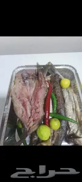 رنجه فاخره 4