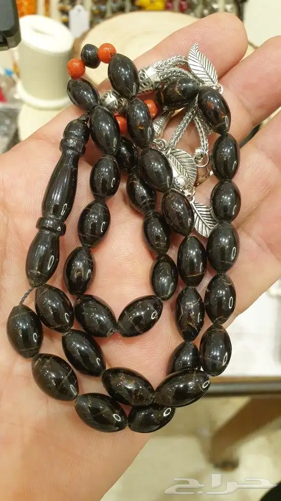 سبح يسر البحر الأحمر 0