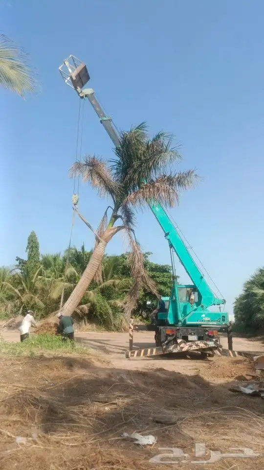 كرينات رفعات 1
