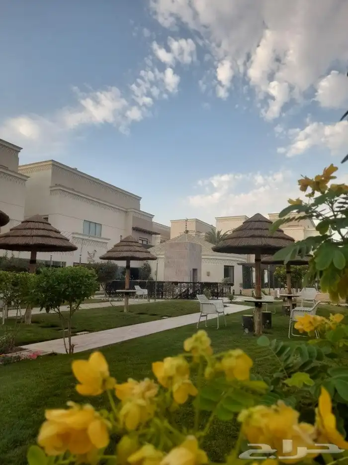 جهاز ضباب عروض جديده 5