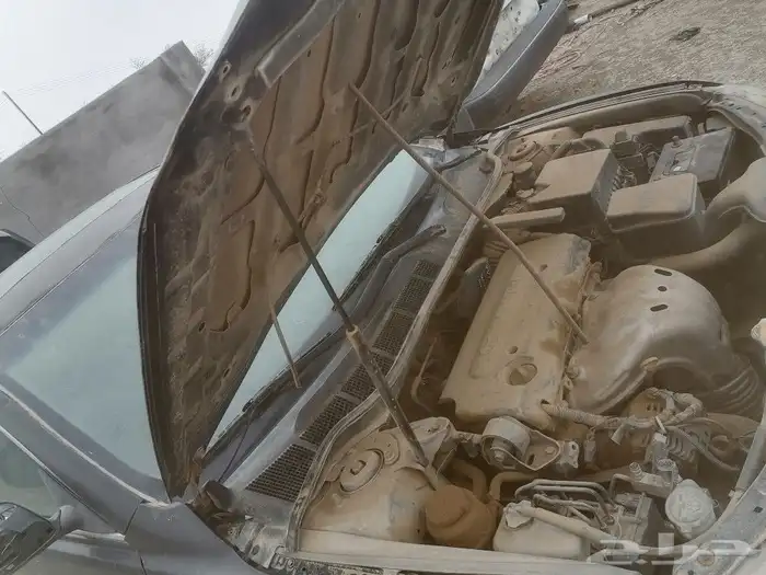 جده مكه القنفذه 33