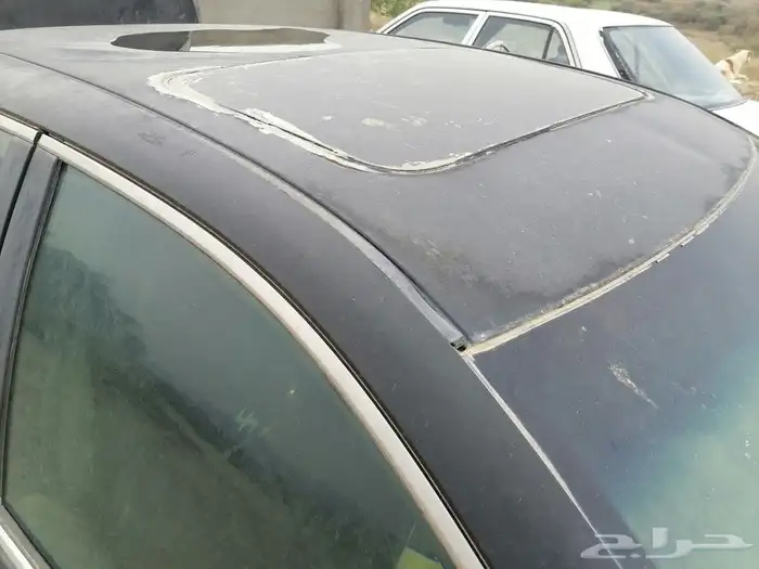 جده مكه القنفذه 28