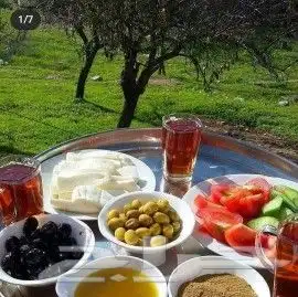 زيت زيتون فلسطيني بكر بعل لكل أرجاء السعودية 27