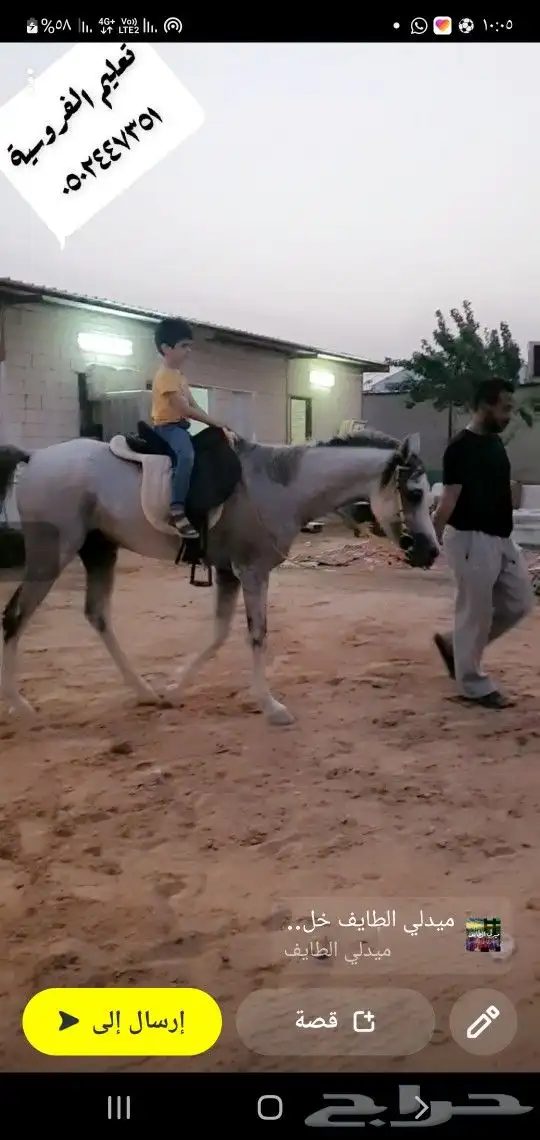 تدريب ركوب الخيل 6