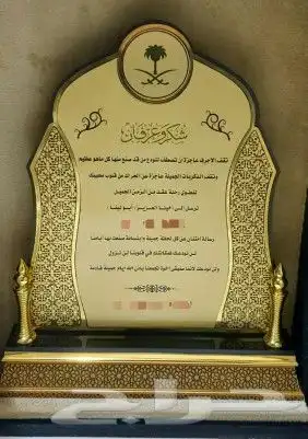 دروع ومجسمات 12