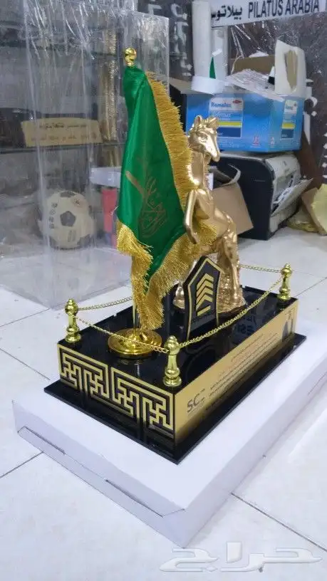 دروع ومجسمات 24