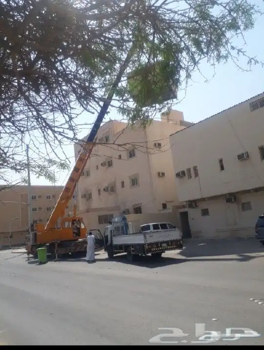 كرينات رافعات ايجار 6