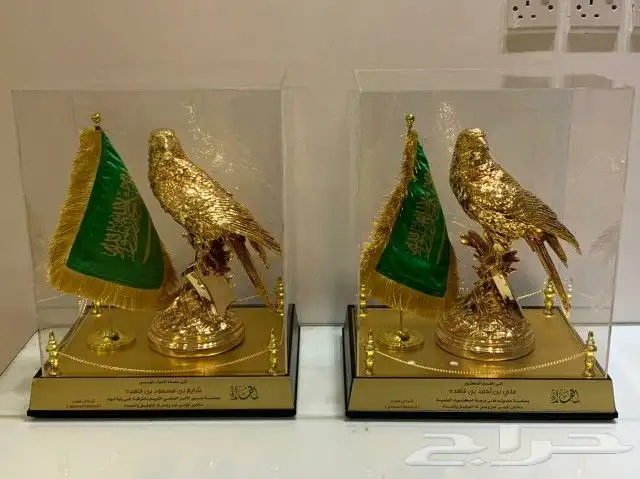تفصيل درع باسماء خاصة 17