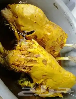 طباخ متنقل جاهز للشغل يومي شهري 0557894360 17