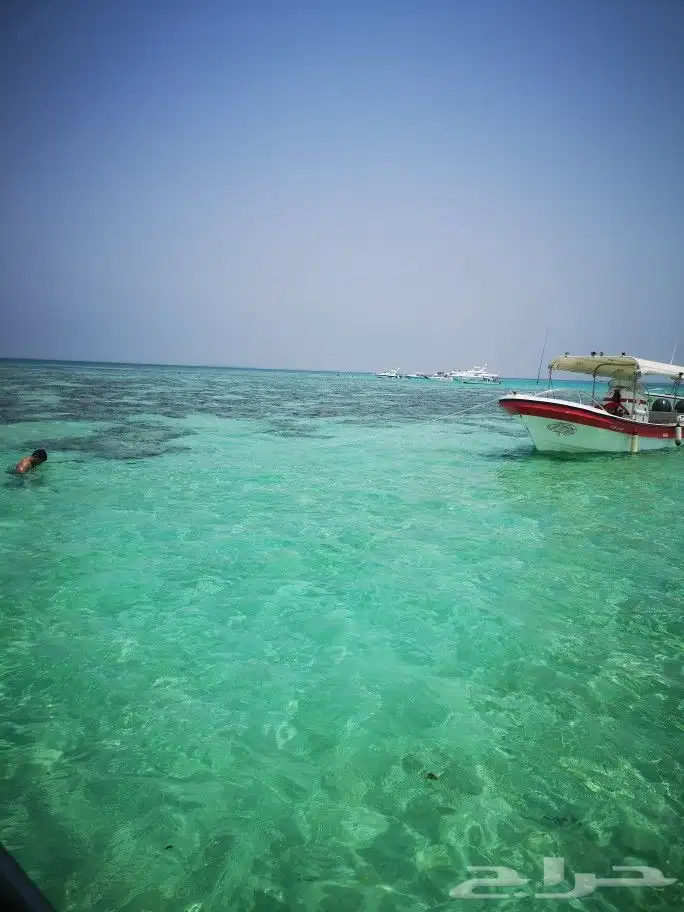 جدة مرسى البحر الاحمر 15