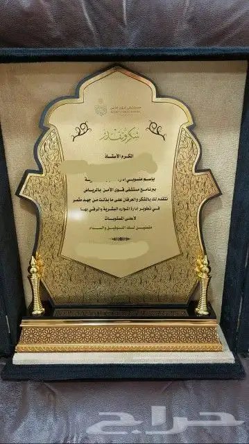 دروع ومجسمات 17